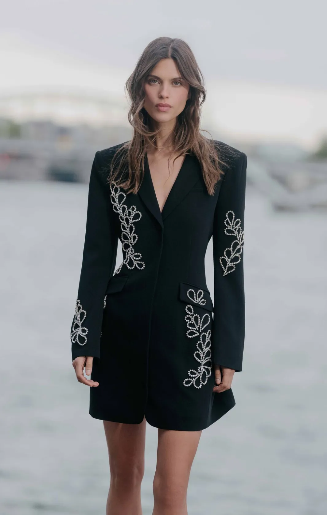 Mini | Cocktail & Evening<Cinq à Sept Rhinestone Paisley Long Sleeve Joel Dress Black